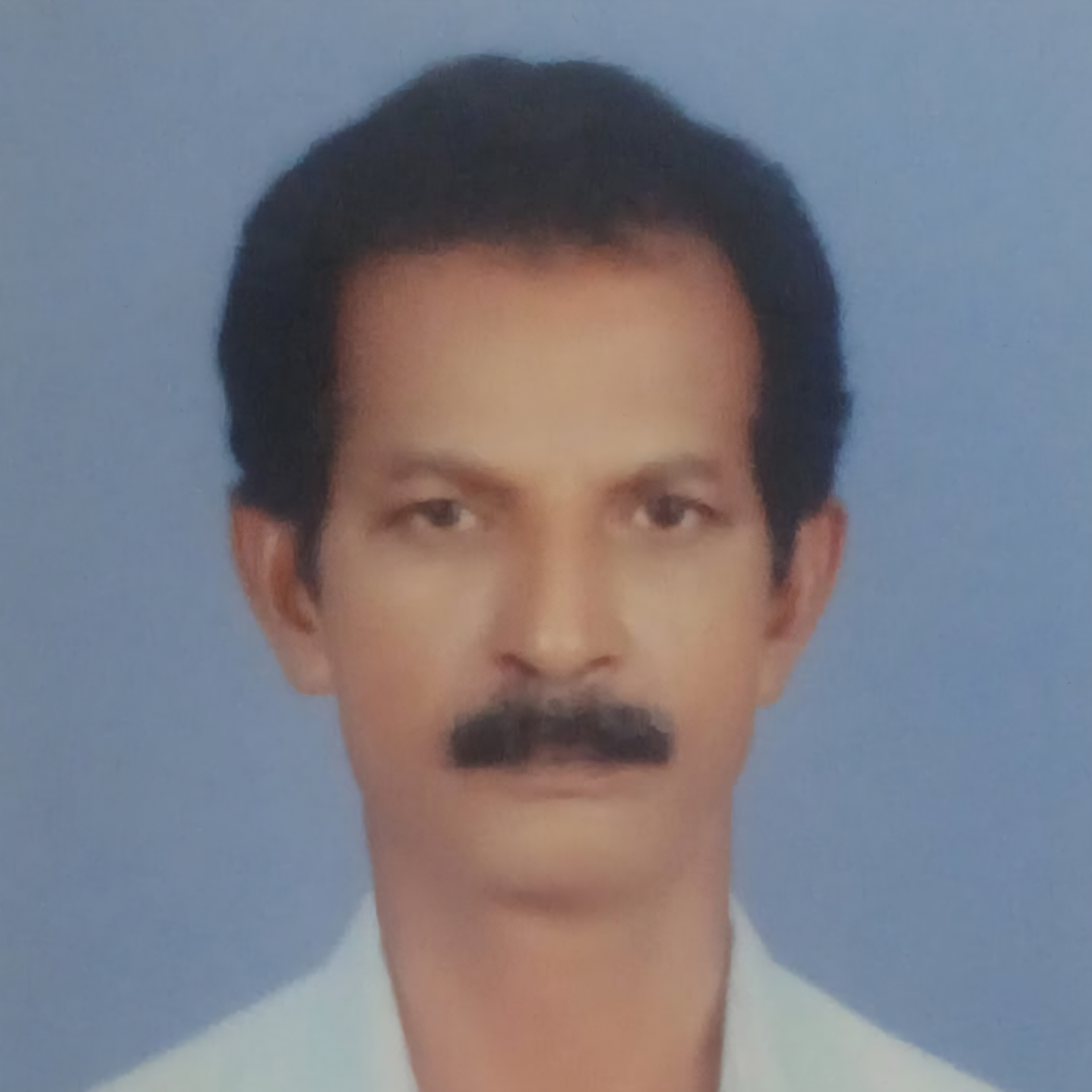 Team Member